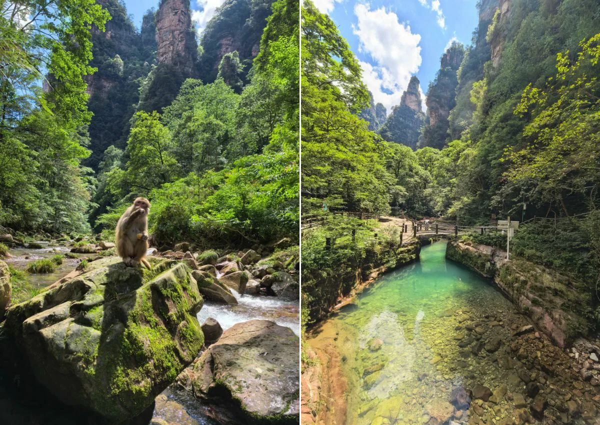 張家界風景